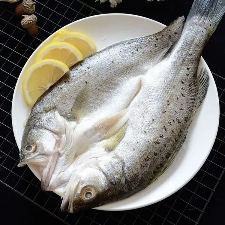 开背新鲜海鲈鱼七星鲈鱼免处理免腌制开袋即可做 9两-1斤/条 顺丰