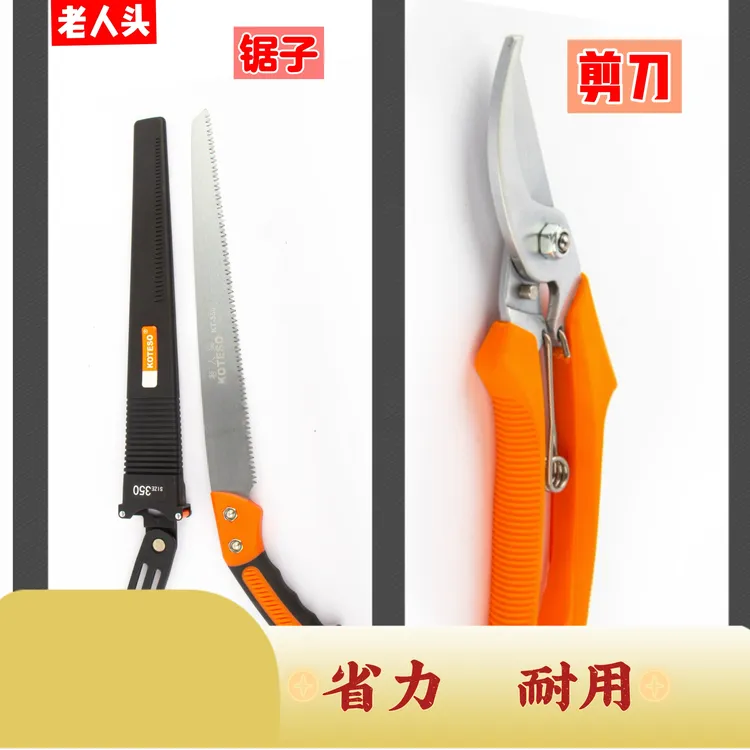 果树修枝剪刀和果树锯子剪枝剪子