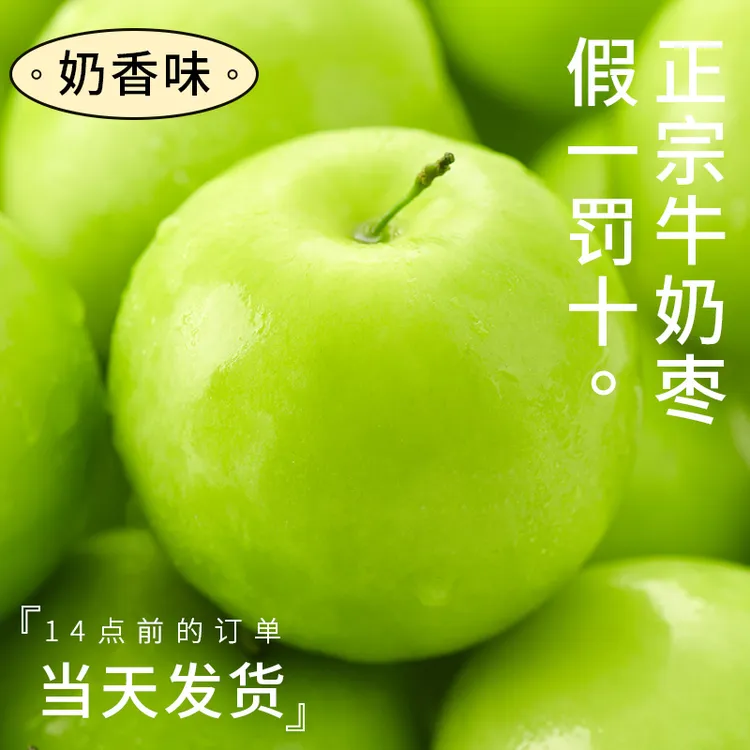 【净重5斤】福建牛奶贵妃枣大青枣新鲜水果当季包邮蜜枣冬枣苹果枣