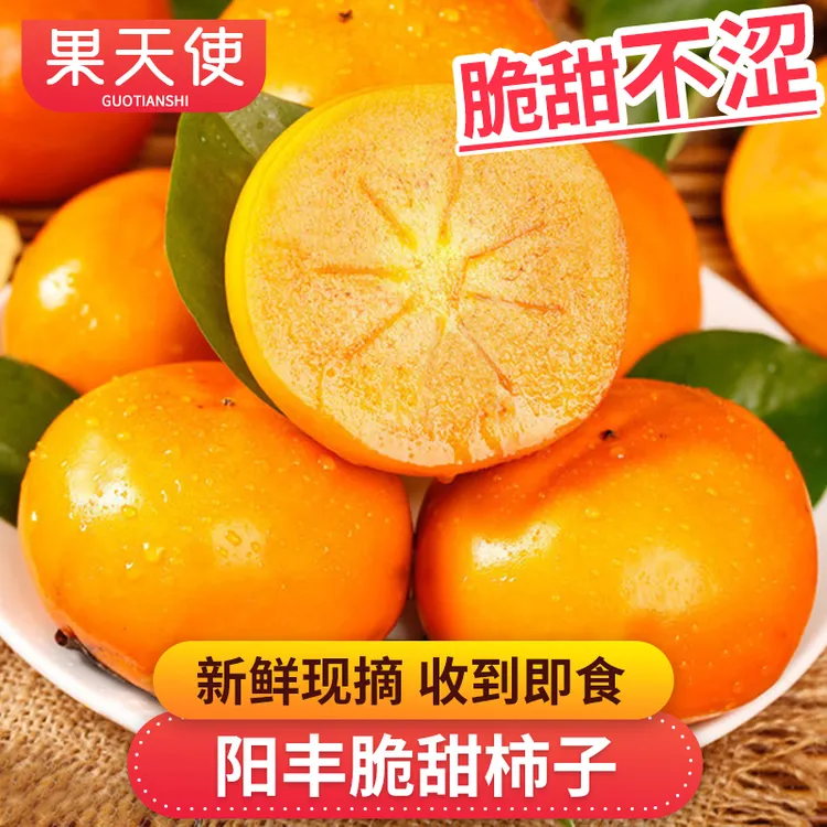 【果天使】阳丰脆甜柿子1.7-5斤新鲜采摘脆甜不涩新鲜应季水果好吃