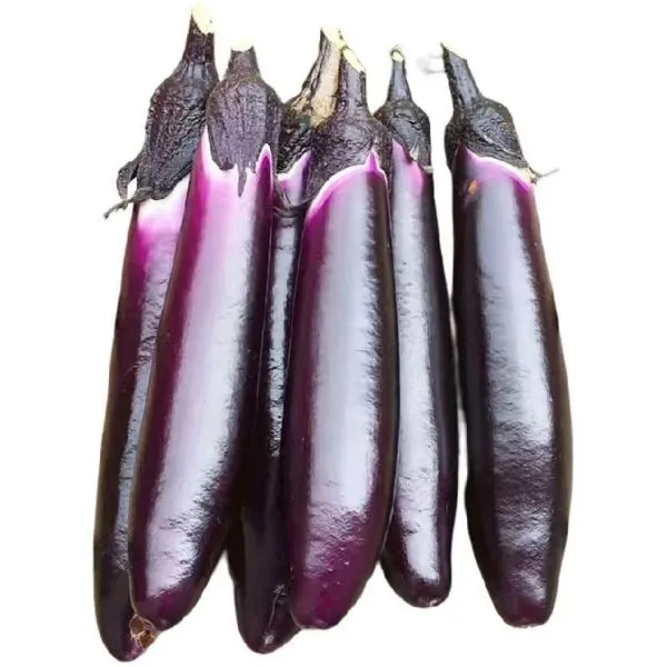 湘西露天茄子3斤