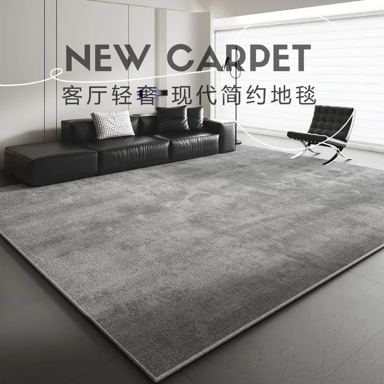 地毯客厅轻奢高级2026新款灰色免洗可擦卧室床边地垫极简沙发毯  