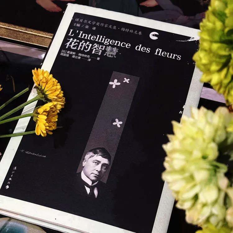 花的智慧（黑诺，精装包邮）