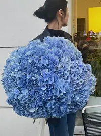 大海蓝绣球     鲜切花氛围感花材