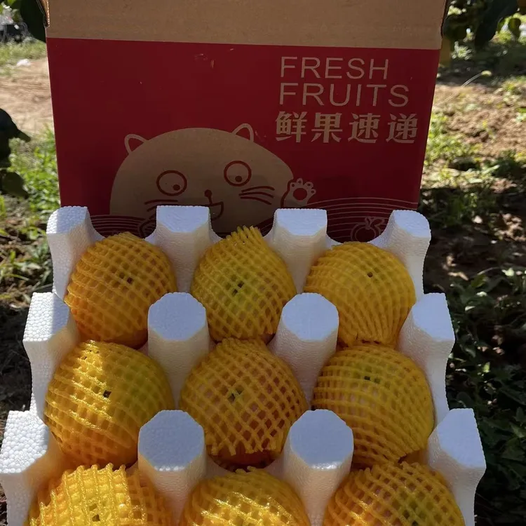 陕西淳化红富士苹果新鲜现摘脆甜多汁水果