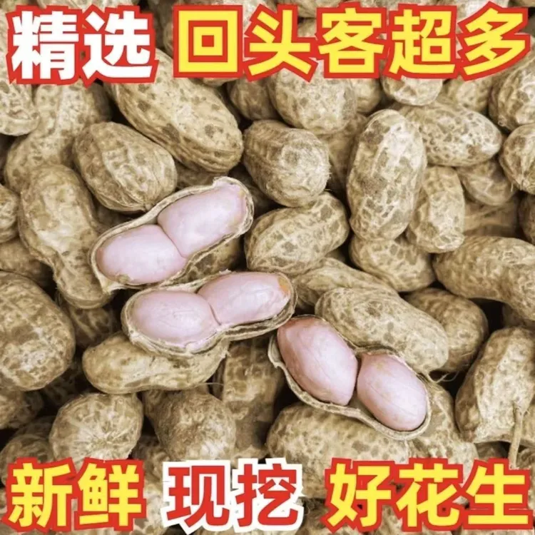 25年新鲜湿花生农家湿花生新鲜现挖带壳带泥新鲜花生水煮粉皮红皮