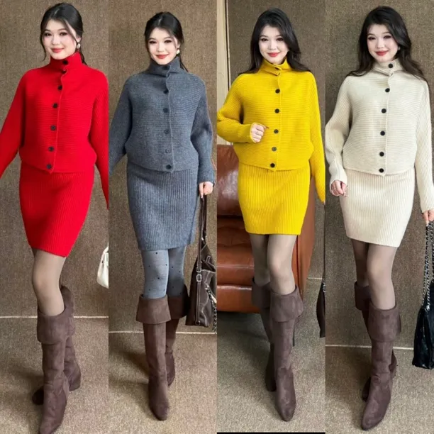 Rayhon韩版立领长袖针织开衫搭配半身裙两件套秋冬气质休闲百搭