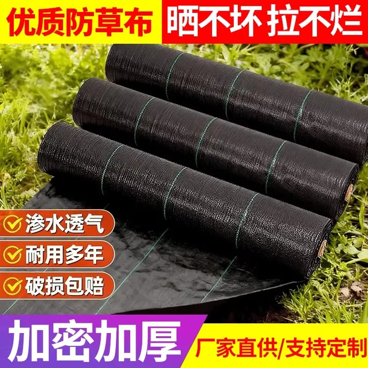 农用防草地布抗老化加厚PE除草布批发园艺果园果树大棚盖地灭草布商品图