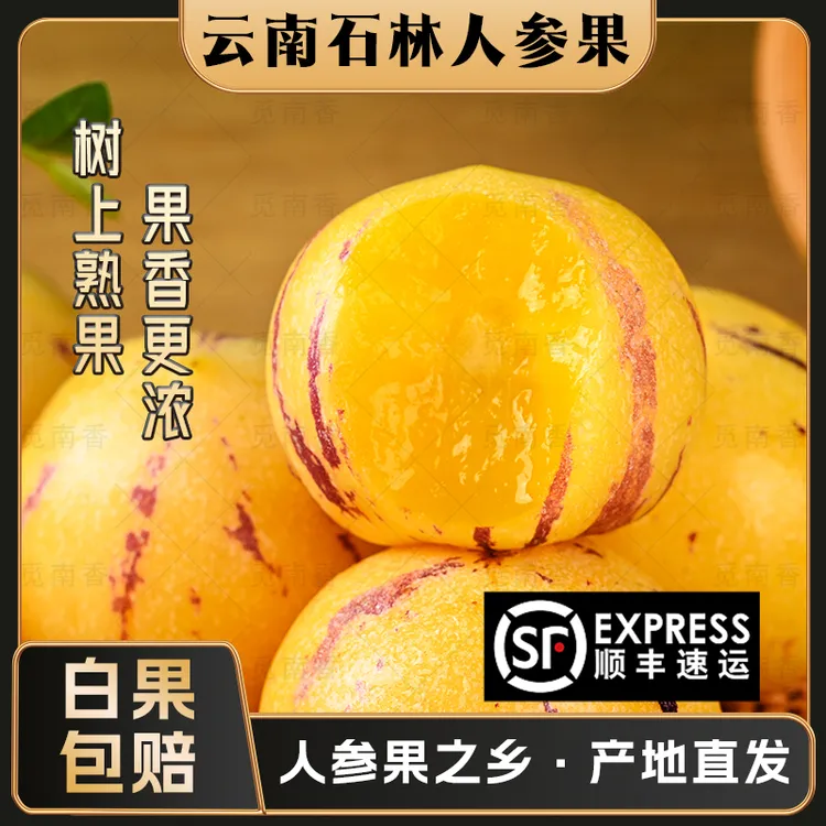 【顺丰 树上熟 白果包赔】人参果 云南石林果黄肉圆果 自然成熟