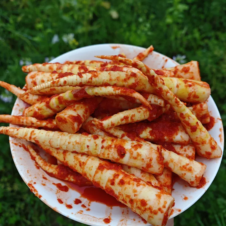 云南大雪山方竹笋泡笋2斤包邮