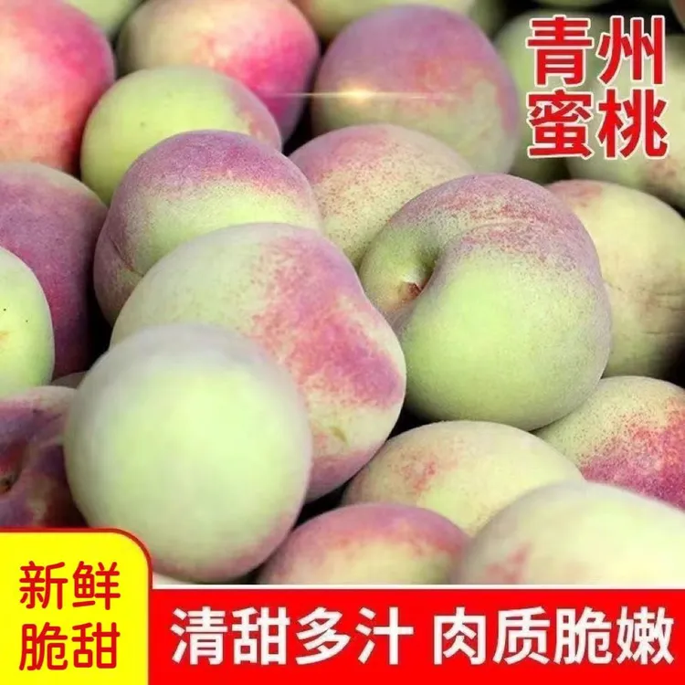山东青州蜜桃小山桃脆桃毛桃应季水果新鲜采摘整箱批发青脆桃