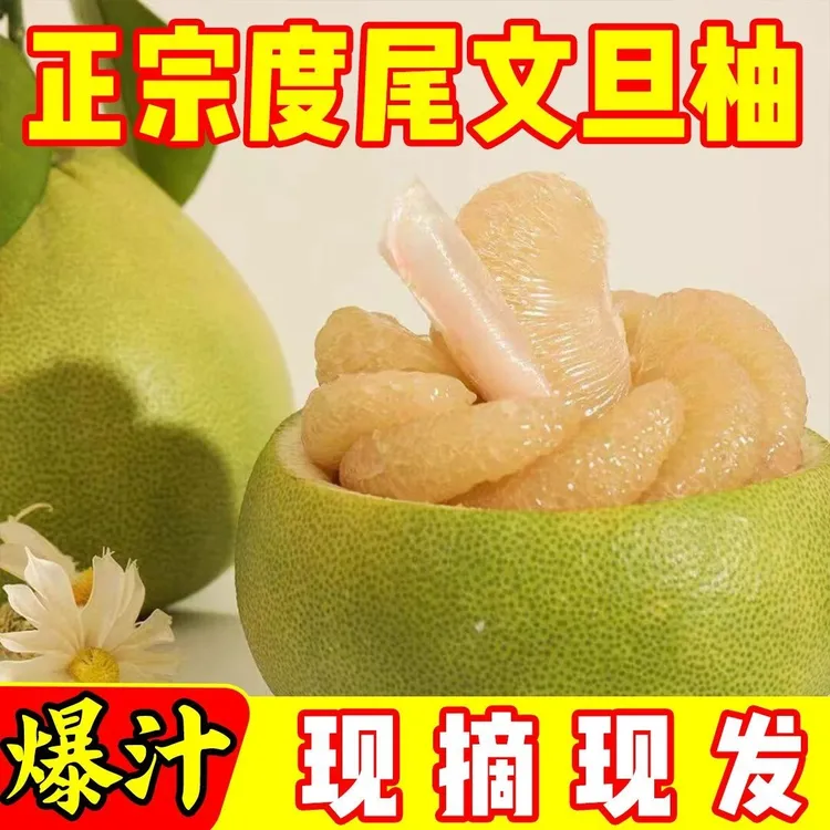 【精品无孔好果】福建正宗仙游度尾文旦柚子果园现摘批发果园包邮