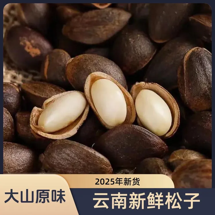 云南松子2025年新货薄壳新鲜落水松原味四道筛选饱满颗粒清甜清香