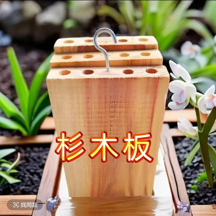 带储水孔杉木板适用于石斛蝴蝶兰等兰科植物种植