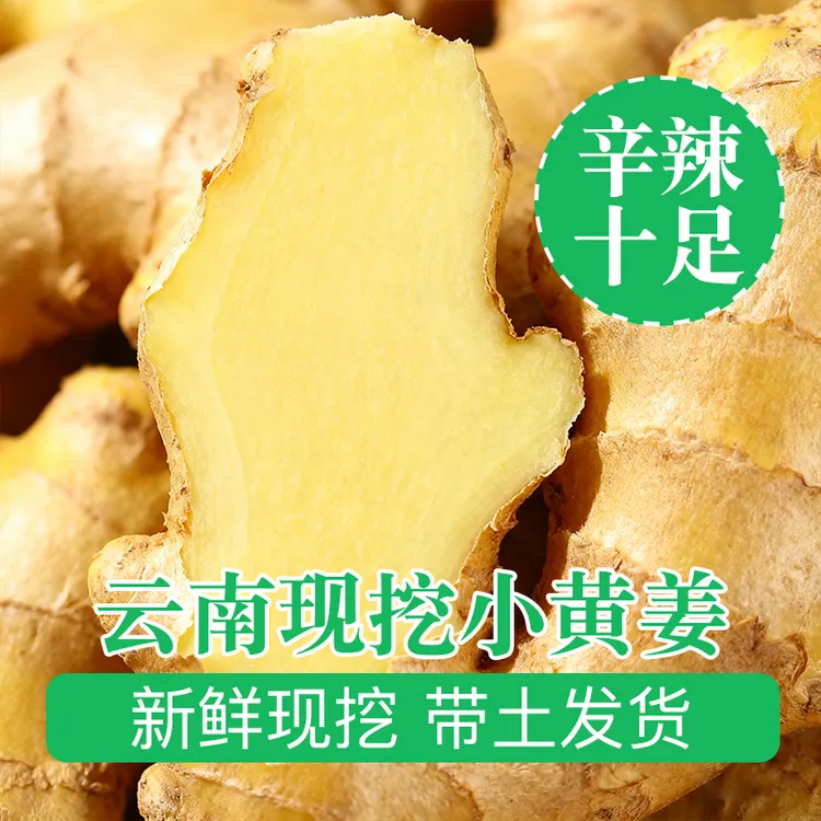 【姜王】云南罗平小黄姜新鲜生姜老姜应季蔬菜产地直销调味月子姜