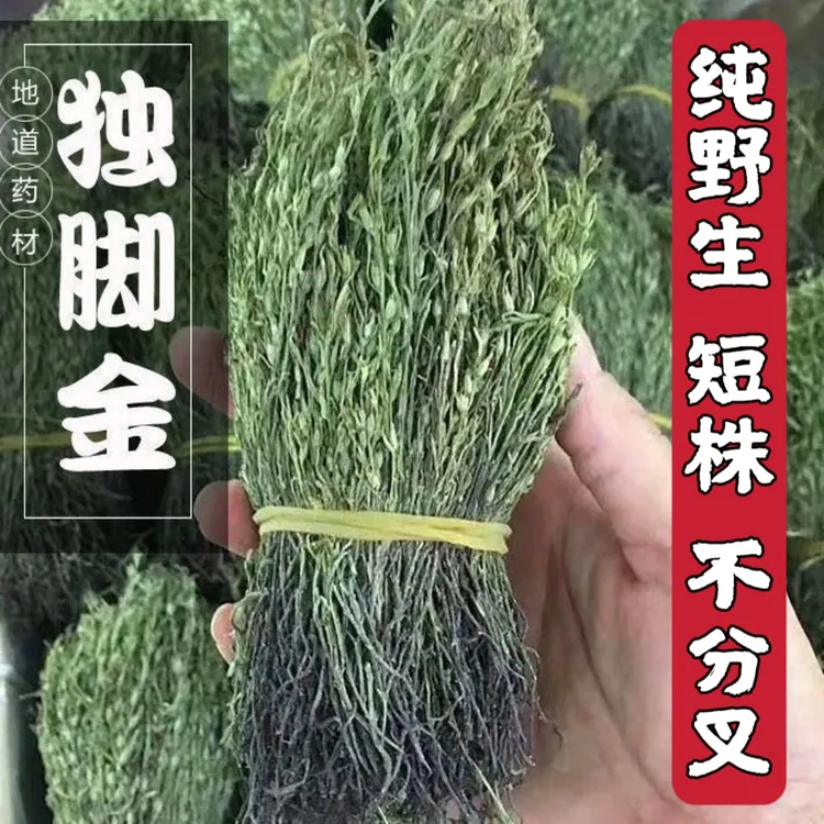 广东本地野生独脚金疳积草独脚金草