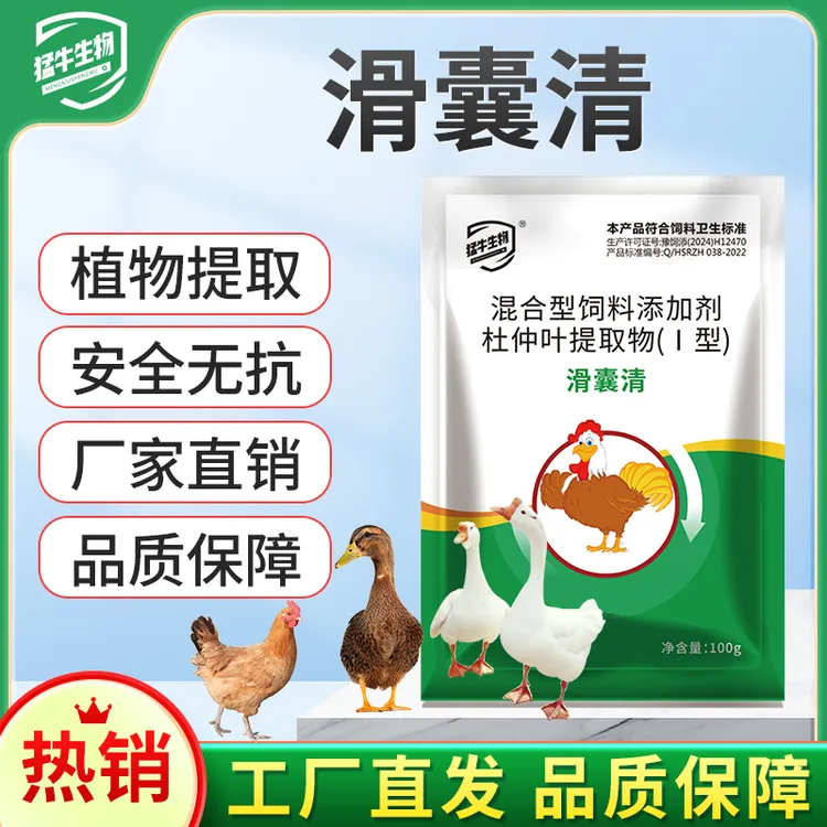 滑囊清鸡滑液囊支原体鸡鸭鹅关节肿大瘫痪趴地滑液囊家禽通用视频