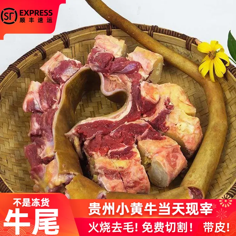 贵州小黄牛带皮牛尾巴整根原切新鲜现杀牛尾骨散养黄牛肉商用牛杂