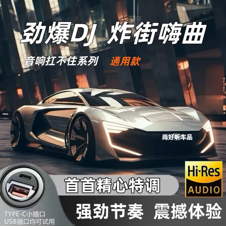 ［视频同款］重低音炸街DJ车载优盘-抒情DJ各一半 通用款