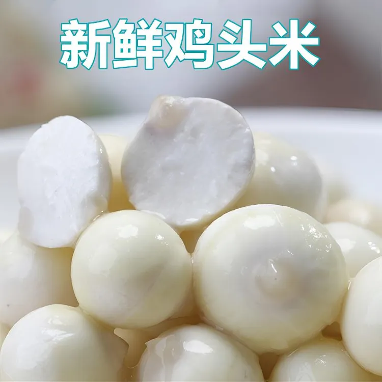 【当天采摘】新鲜芡实剥鸡头米中颗粒去皮去壳Q弹软糯清香冷链