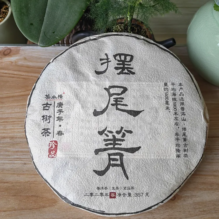 2020年摆尾箐古树茶