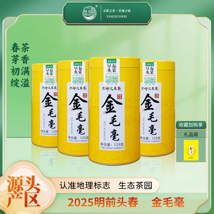 2025年英红九号金毛毫明前大师茶头春头采红茶茶叶送礼罐装500克