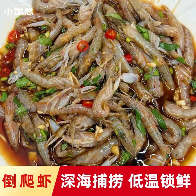 【活动价】北麂倒爬虾野生深海虾叮当虾低温活冻