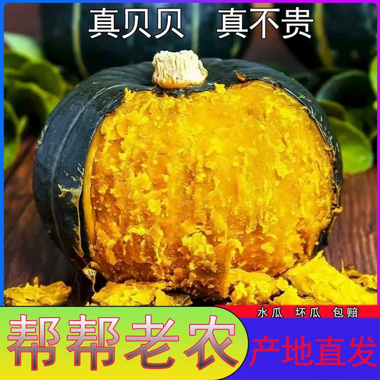 【内蒙沙地】正宗贝贝南瓜爆粉爆糯板栗味宝宝辅食新鲜东北发货