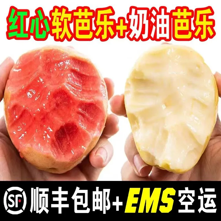 顺丰【放软再吃】广西红心白心红白双拼软芭乐番石榴奶油孕妇水果