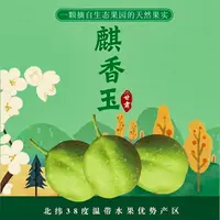共裕农牧祁连山麒香玉梨清甜爽口皮薄肉厚核小脆甜多汁