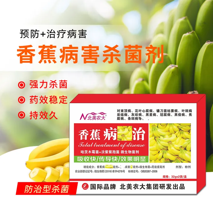 香蕉病全治束顶花叶心腐镰刀菌枯萎叶斑炭疽灰纹黑星冠腐黑疫焦腐