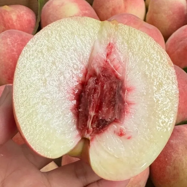 【晚熟水蜜桃】脆软都好吃（放软后可以撕皮）8.5斤/5斤/3斤新鲜现摘