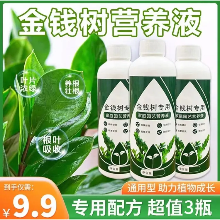 【金钱树养花专用】金钱树专用营养液土培花草营养液配方植物营养液