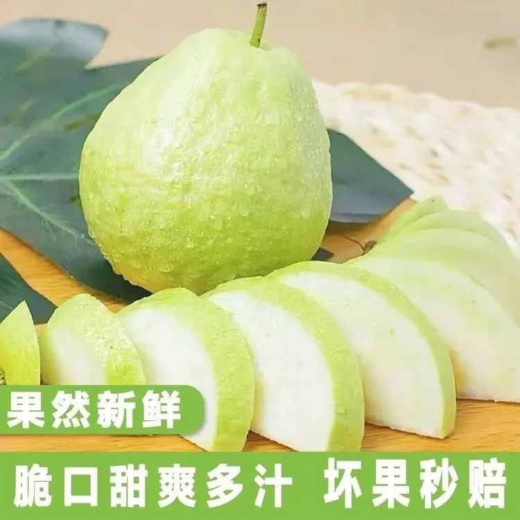 广西产地新鲜现摘白心番石榴当季水果清甜脆爽多汁