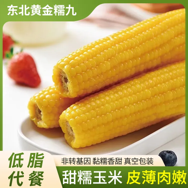 25年东北香糯粘黄玉米精品黄金糯九鲜嫩粘糯玉米10根装（试吃2根）
