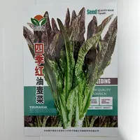 【五袋包邮】四季红油麦菜种子抗热紫红油麦菜