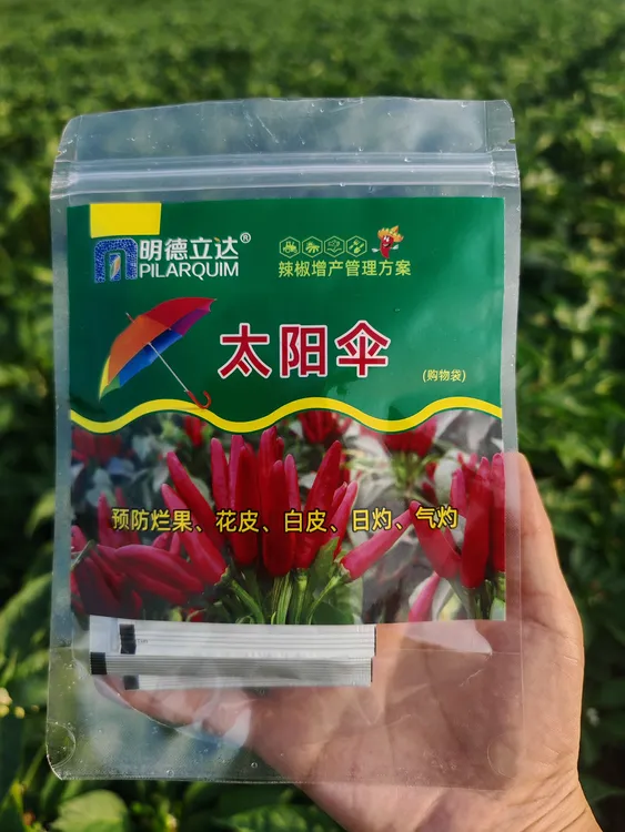 辣椒防花皮炭疽日灼疫病高产保花保果技术方案