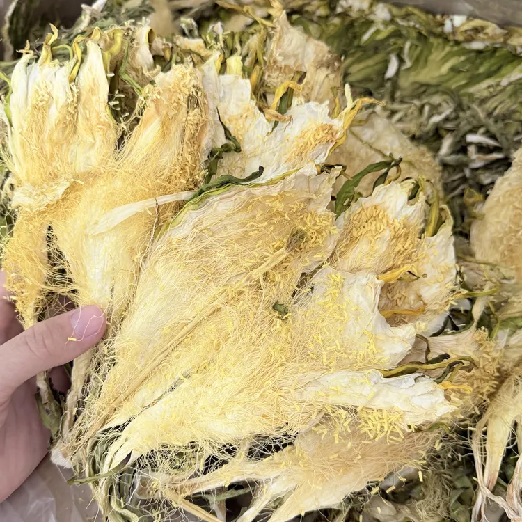[霸王花]家中常备汤料搭配南北杏猪肺莲子煲汤炖汤蒸鸡