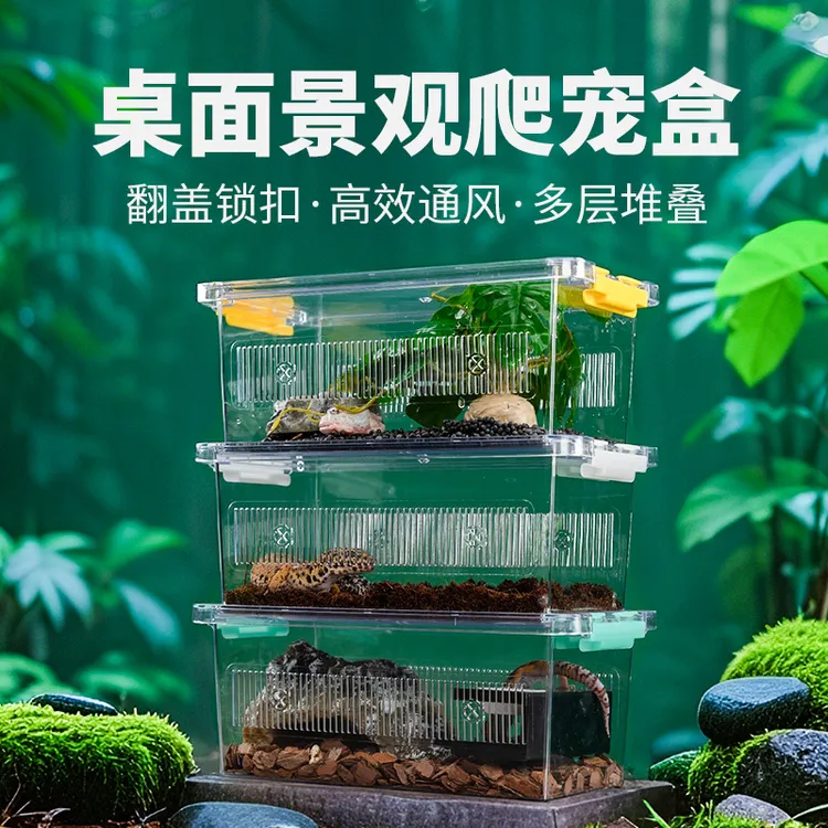 爬虫高透光饲养盒睫角R属守宫角蛙蛇蜘蛛甲虫寄居蟹爬宠饲养箱
