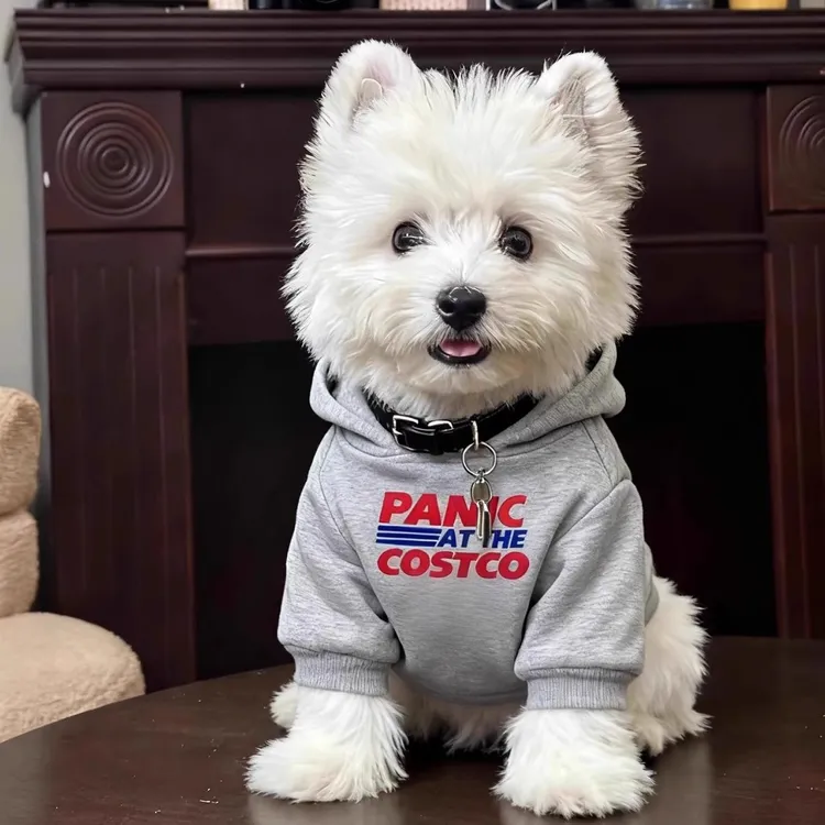 狗狗衣服秋季新款字母连帽卫衣中小型犬西高地白梗雪纳瑞衣服秋冬