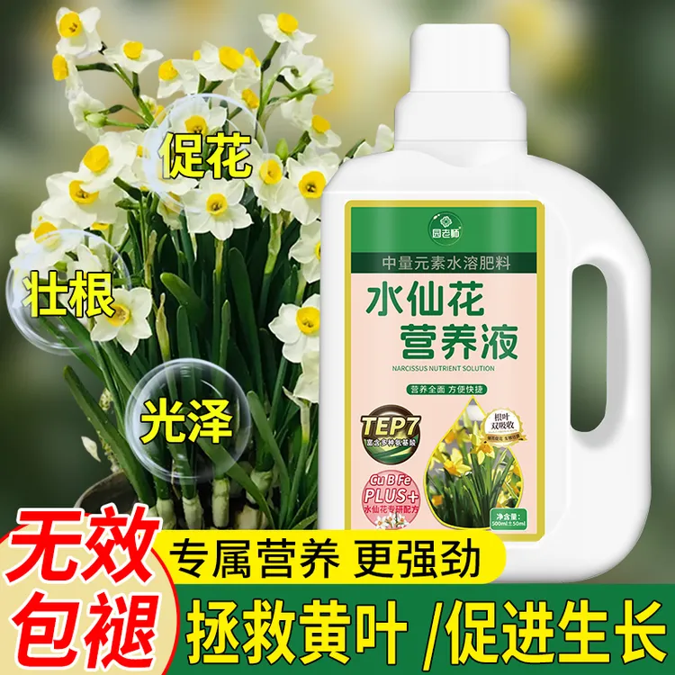 水仙花专用营养液水培通用液体风信子开花肥生根爆芽水仙花肥料
