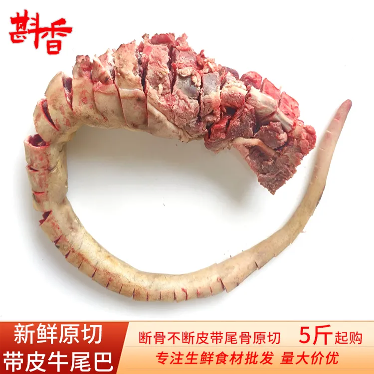 新鲜牛尾巴整根一根现杀带皮黄牛尾商用整条原切带尾巴椎骨肉