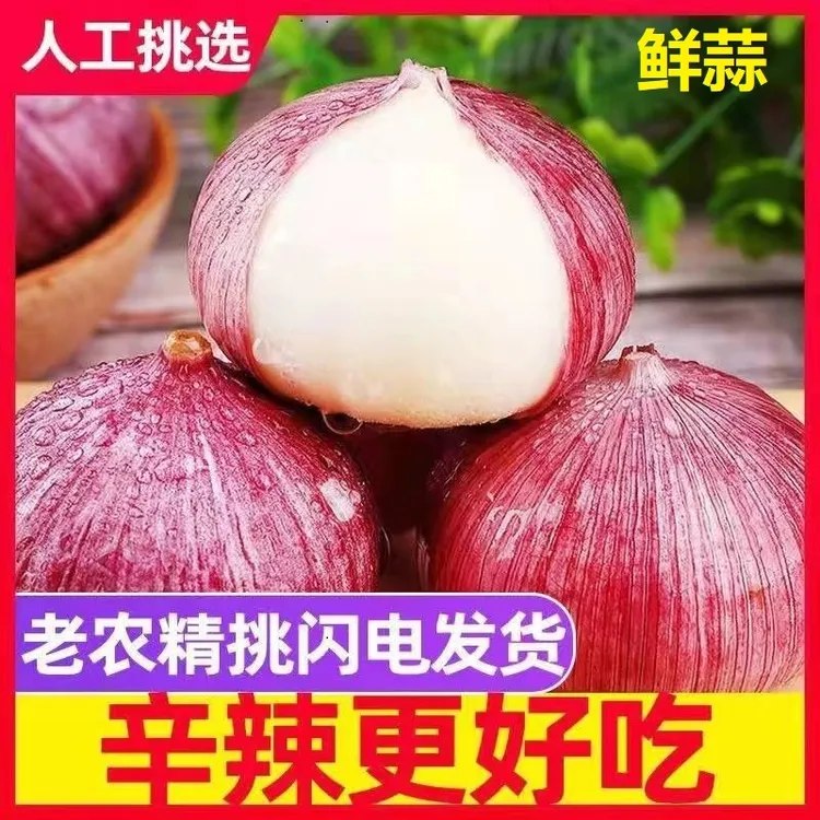 【超低价】正宗紫皮独头蒜新鲜蒜独蒜头新晒干蒜0.5/2/3/5斤包邮