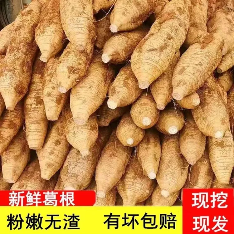 伏牛山新鲜葛根现挖现发无渣煲汤清香甜粉糯发货