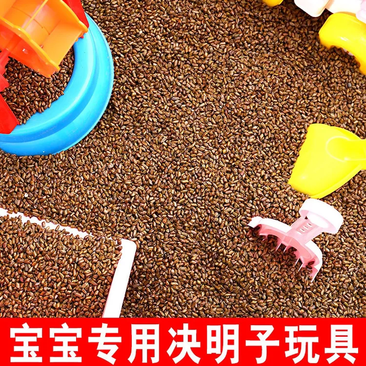 水洗长方形1000克通用硬保健枕小型决明子糖果枕头玩具可折叠