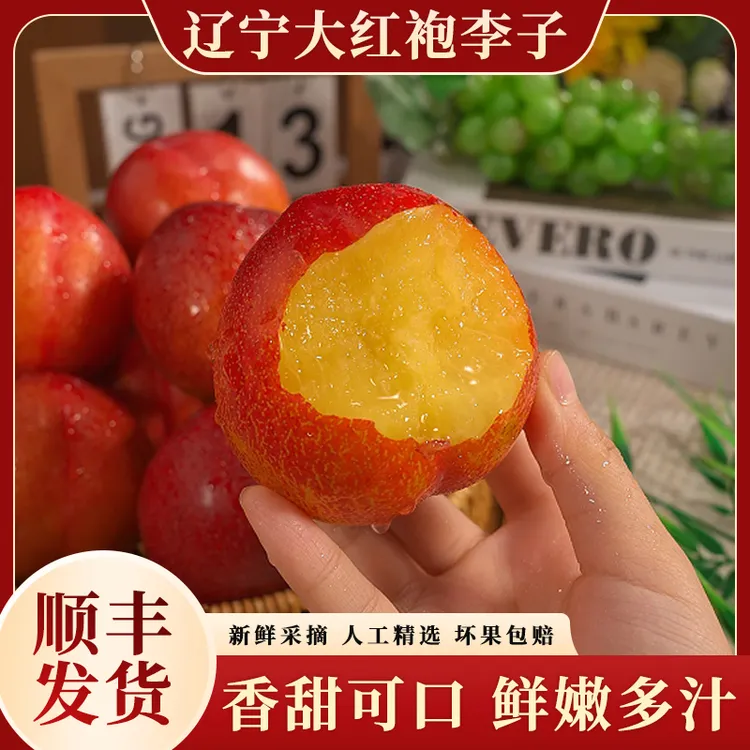 【顺丰】辽宁大红袍李子新鲜应季水果黄肉大李子甜蜜爽口现摘3斤起