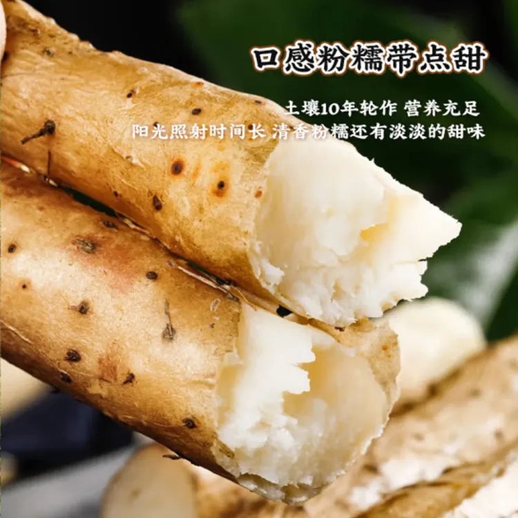 全爸推荐河南焦作温县铁棍山药铁杆淮山新鲜淮山片粉糯5斤装