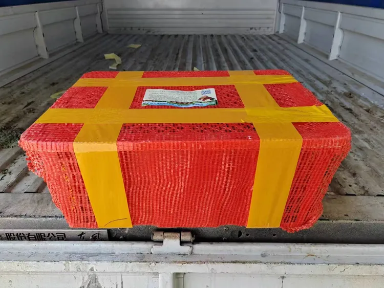 无量山网眼筐家禽定制5-6两10只装顺丰包邮