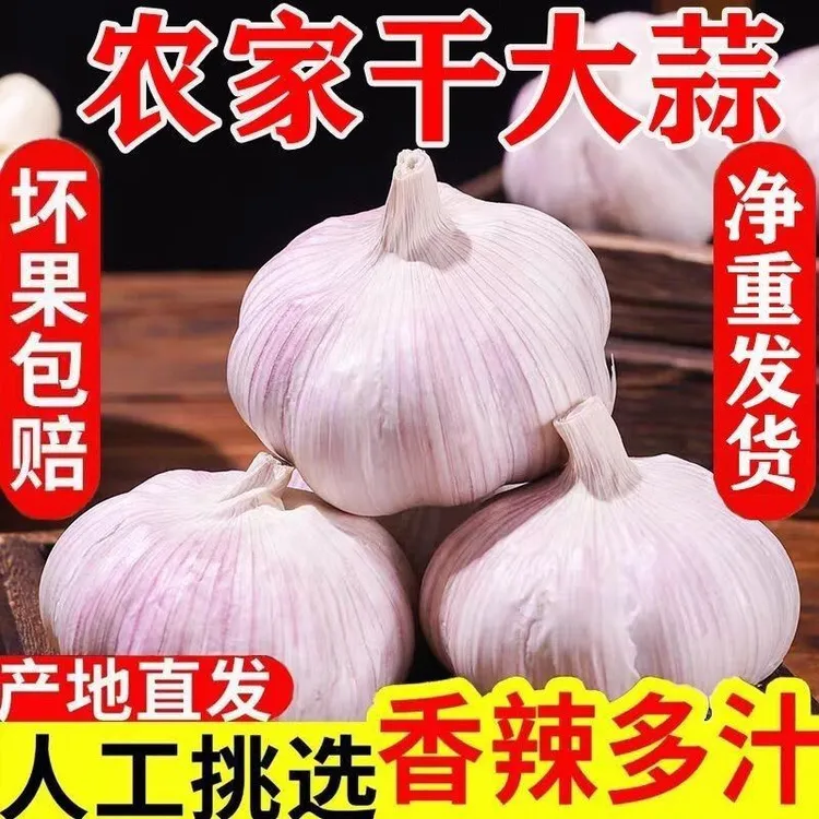 【2025年农家新干蒜】河南杞县紫白皮大蒜头干大蒜3斤/5斤/9斤