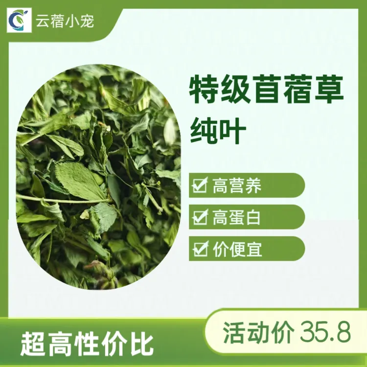 【A级苜蓿草纯叶】自然脱落营养不减高性价比牧草自用省钱首选